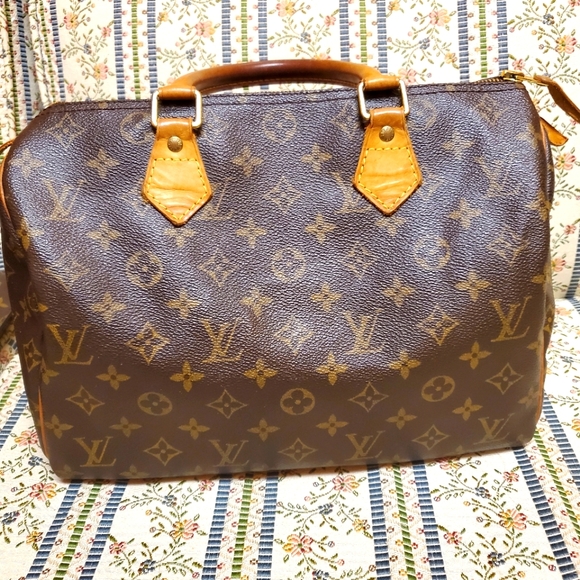 Handbags - Louis Vuitton speedy